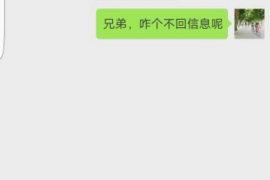 内丘融资清欠服务